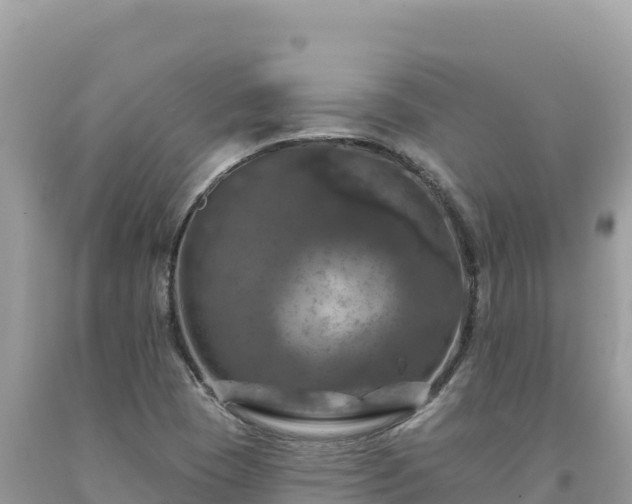 X0000093741409200710231202