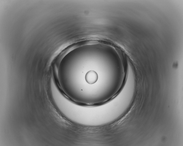 X0000093741410200710231202