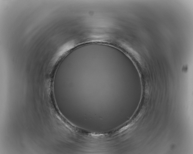 X0000093741411200710231202