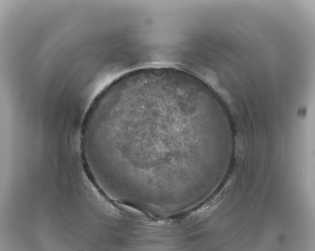 X0000093741412200710231202