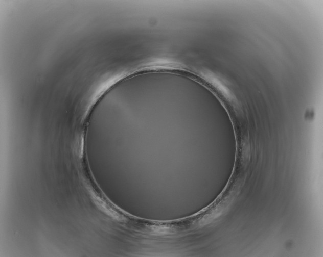 X0000093741413200710231202