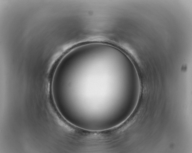X0000093741414200710231202