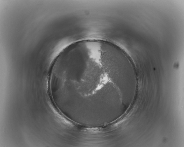 X0000093741415200710231202