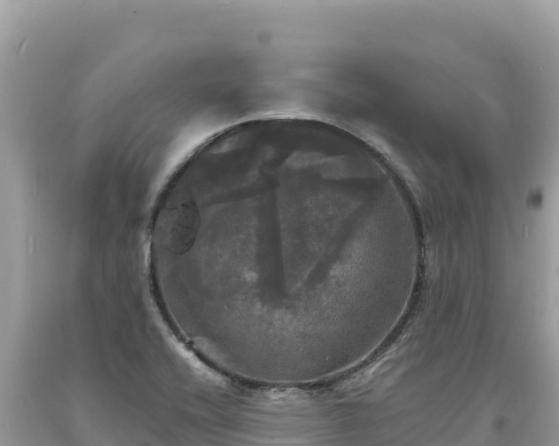 X0000093741416200710231202