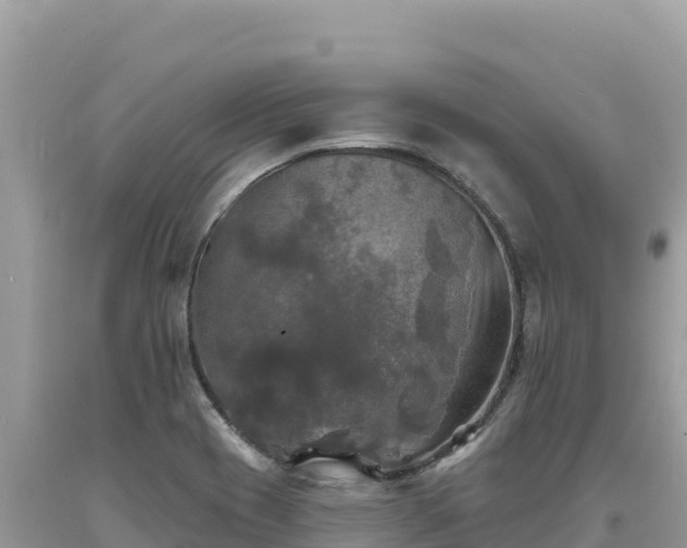 X0000093741417200710231202