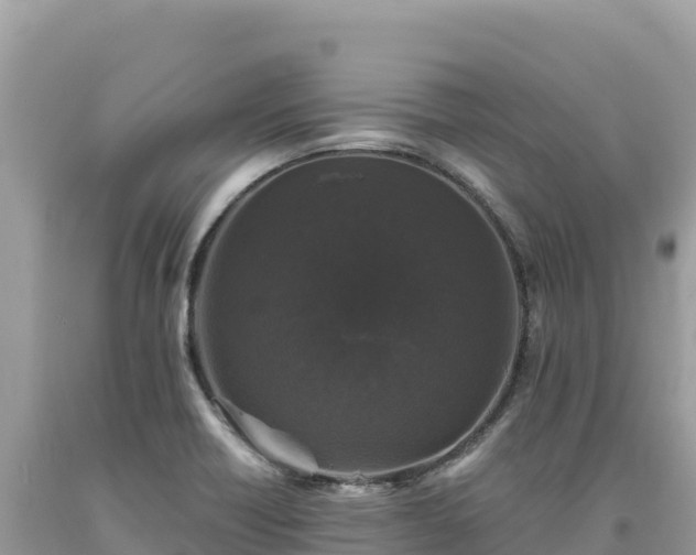 X0000093741418200710231202