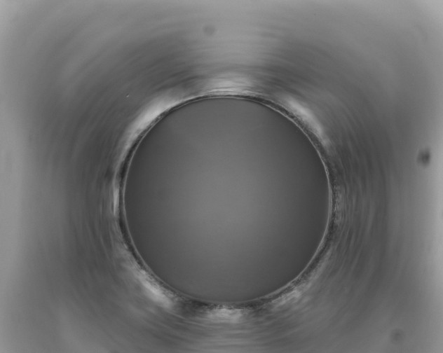 X0000093741419200710231202
