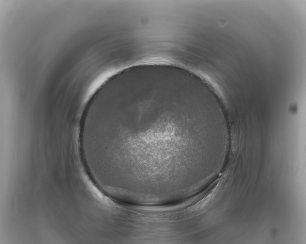 X0000093741422200710231202
