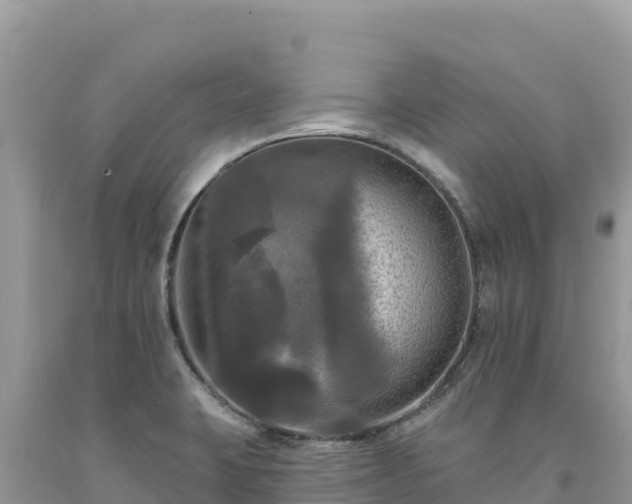 X0000093741423200710231202