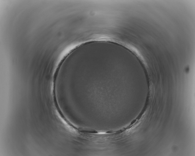 X0000093741424200710231202