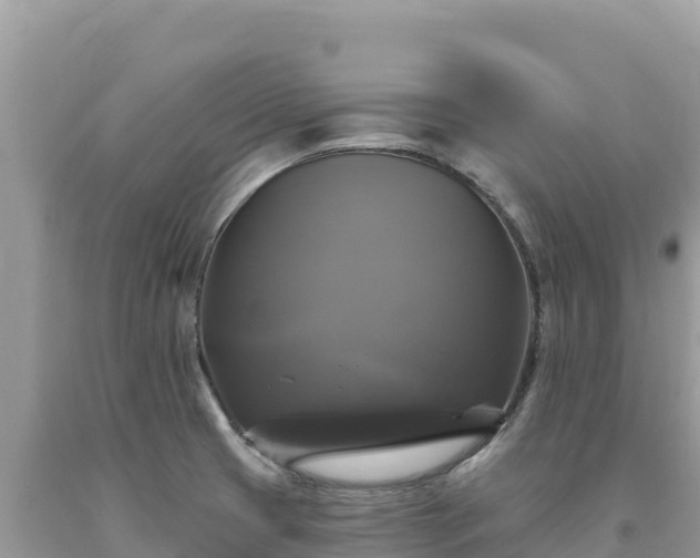 X0000093741425200710231202