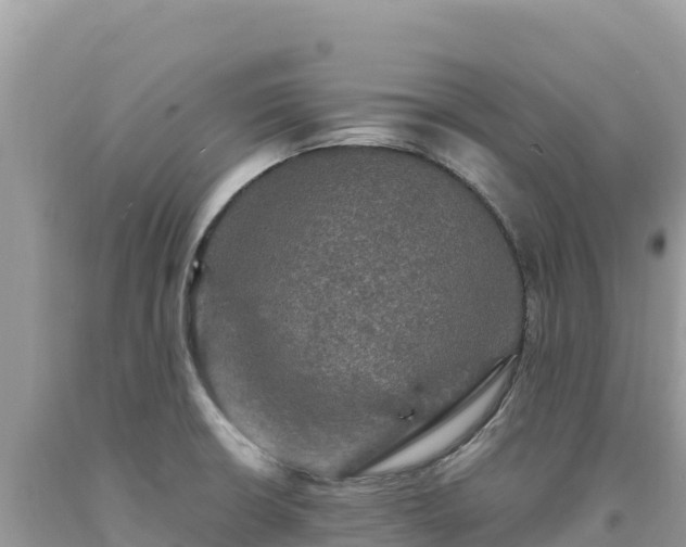 X0000093741426200710231202