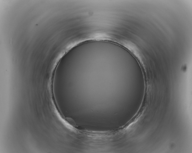 X0000093741429200710231202
