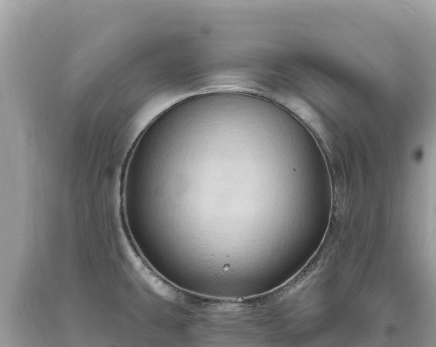 X0000093741431200710231202