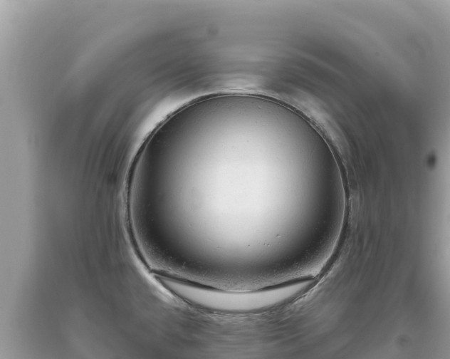 X0000093741432200710231202