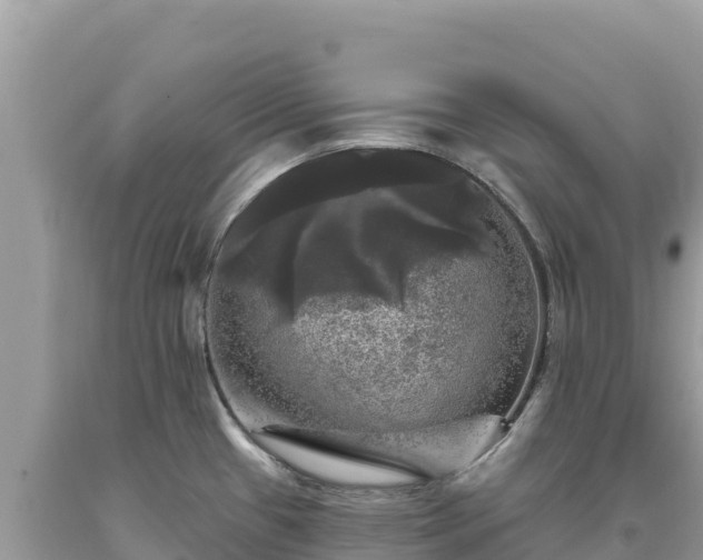 X0000093741433200710231202