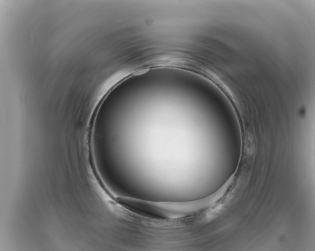 X0000093741434200710231202
