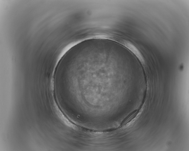 X0000093741436200710231202