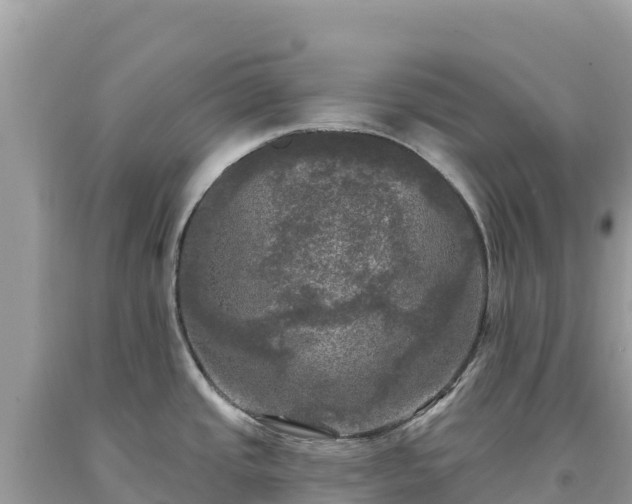 X0000093741437200710231202