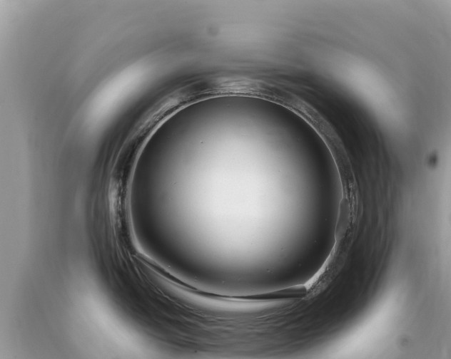 X0000093741438200710231202