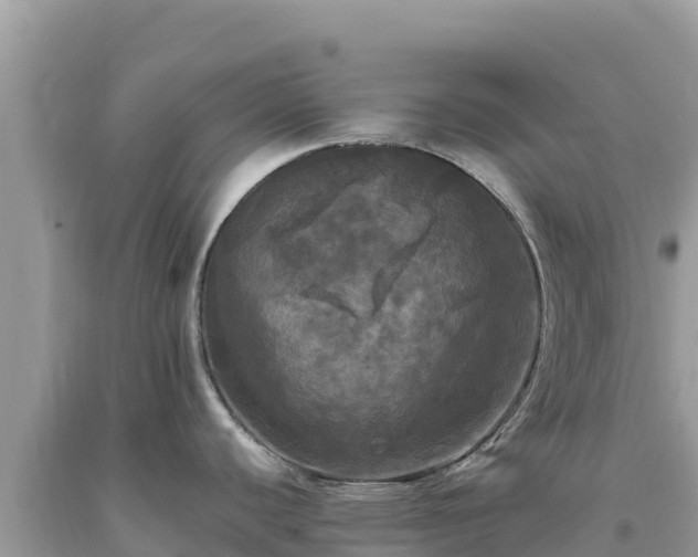 X0000093741440200710231202