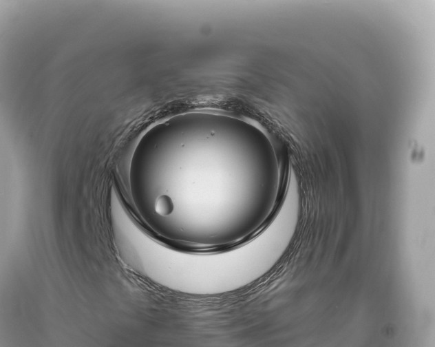 X0000093741441200710231202