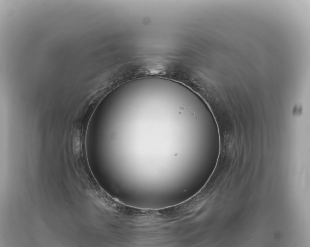 X0000093741442200710231202