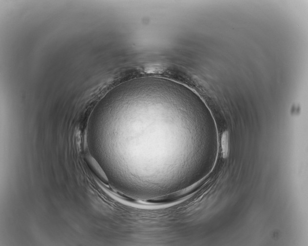 X0000093741443200710231202
