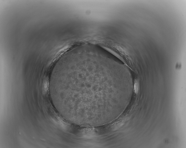 X0000093741444200710231202