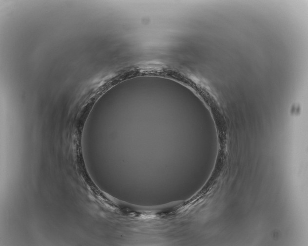 X0000093741445200710231202