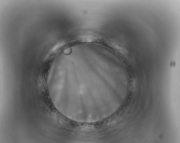 X0000093741446200710231202