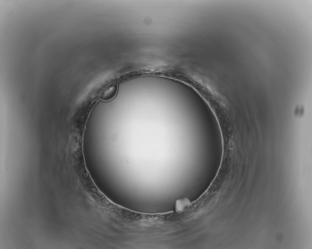 X0000093741447200710231202