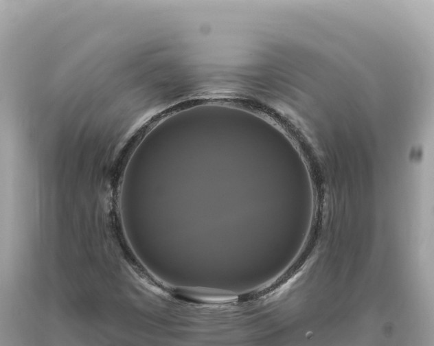X0000093741449200710231202