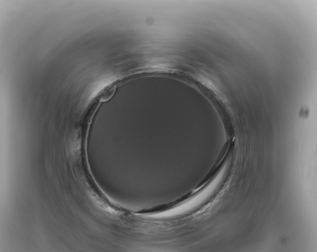 X0000093741450200710231202