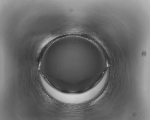 X0000093741453200710231202