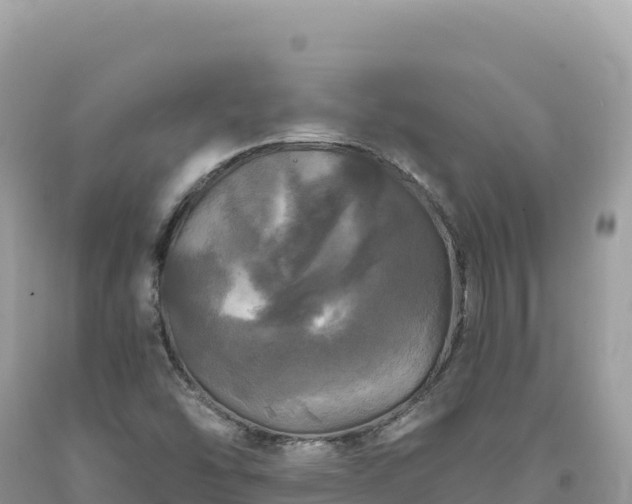 X0000093741454200710231202