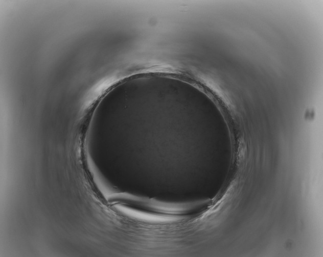 X0000093741455200710231201