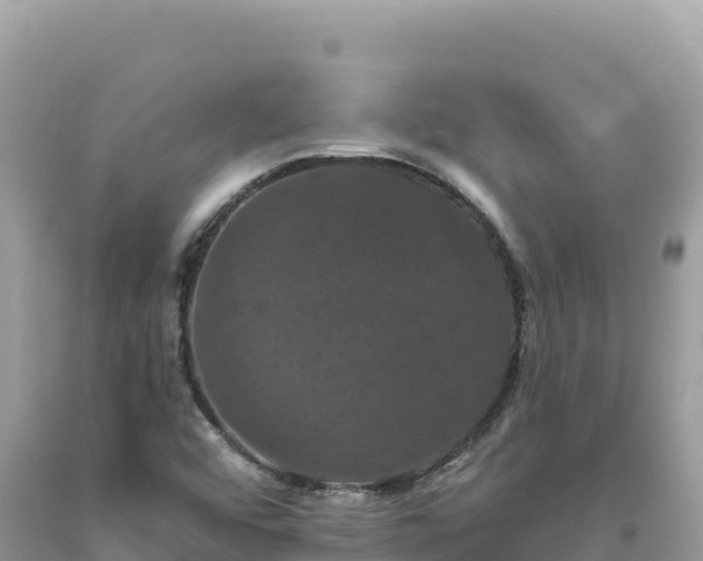 X0000093741456200710231201