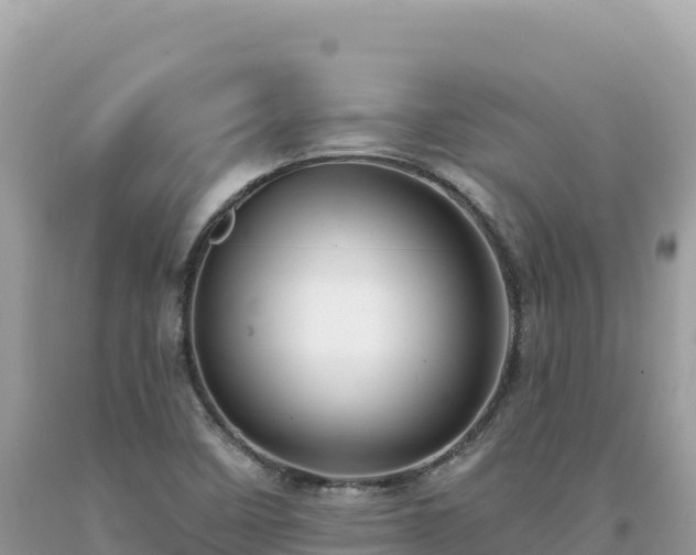 X0000093741458200710231201