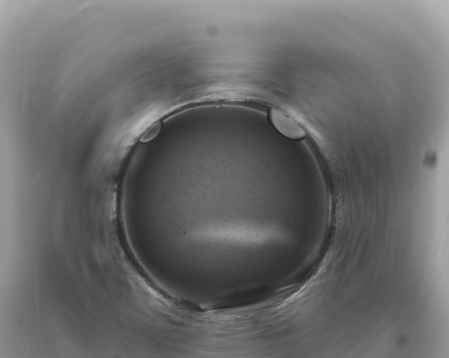 X0000093741459200710231201