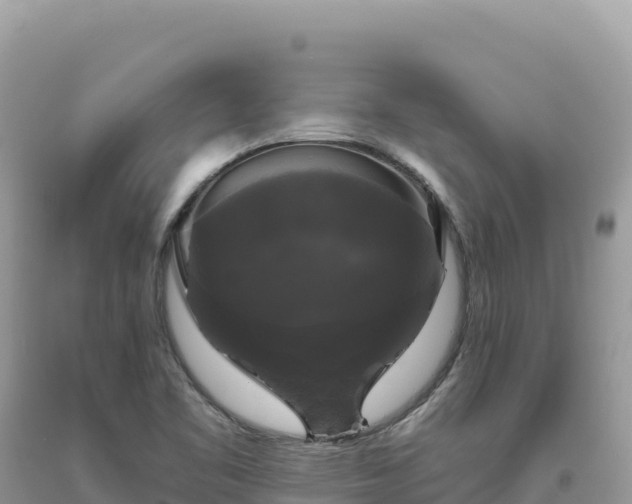 X0000093741461200710231201