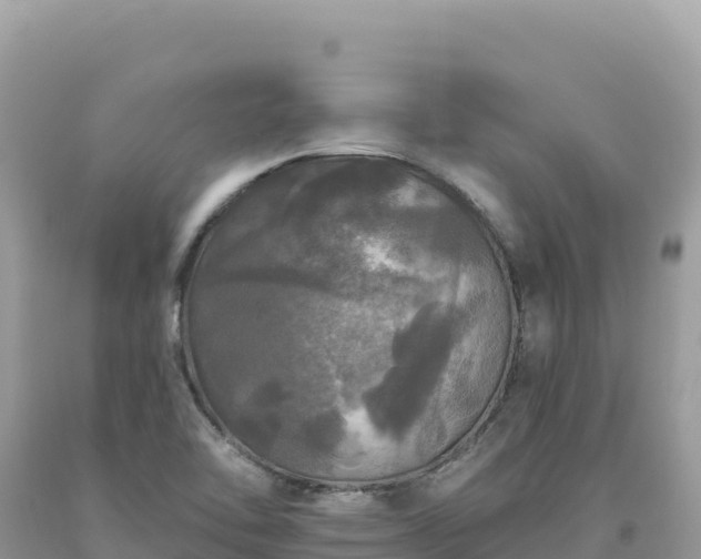 X0000093741462200710231201