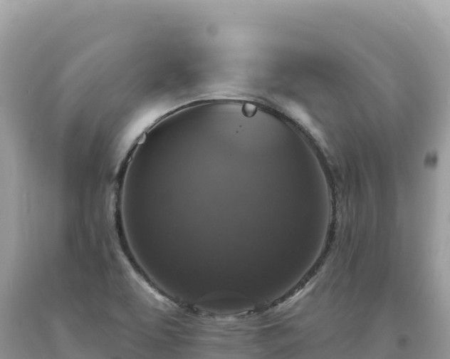 X0000093741463200710231201
