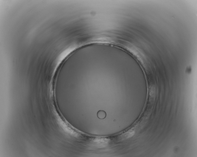 X0000093741466200710231201