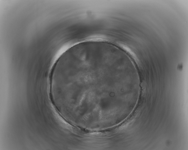 X0000093741467200710231201