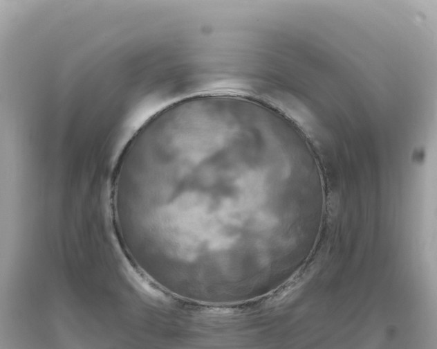 X0000093741470200710231201