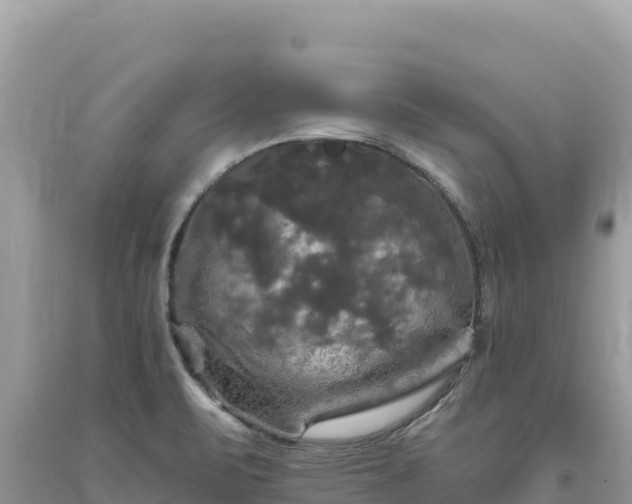 X0000093741471200710231201
