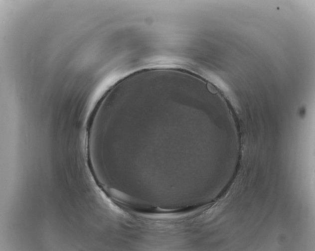 X0000093741472200710231201