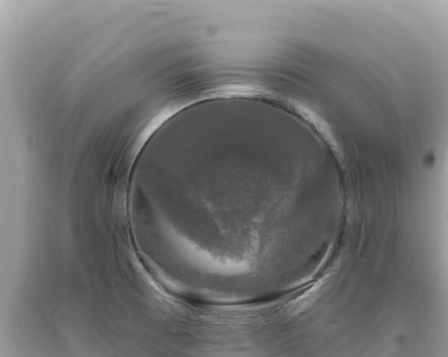 X0000093741473200710231201
