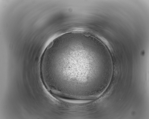 X0000093741475200710231201